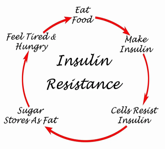 minicutting insulin resistance